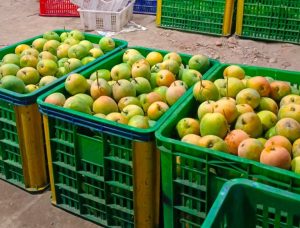 IMG_20251002_202821_397-768x584