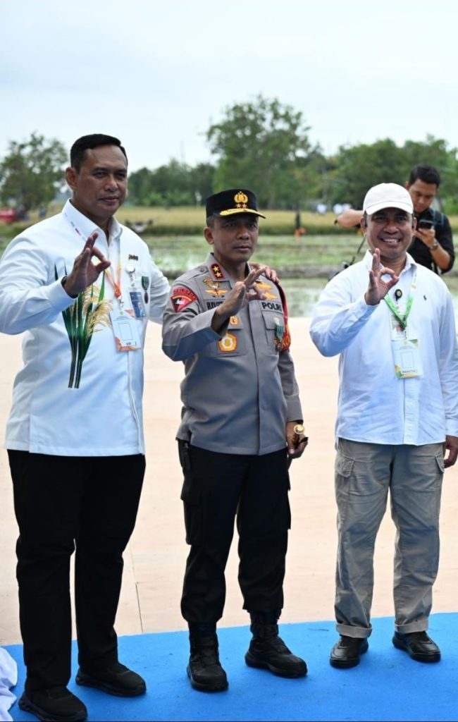 IMG-20260107-WA0035-768x1209